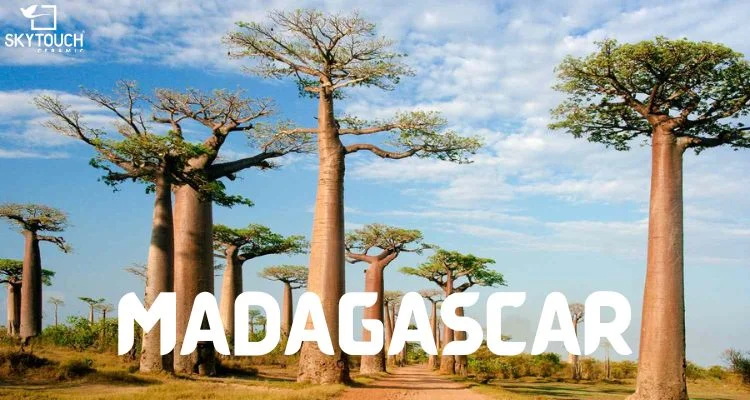 Best Tiles Manufacturer in Madagascar