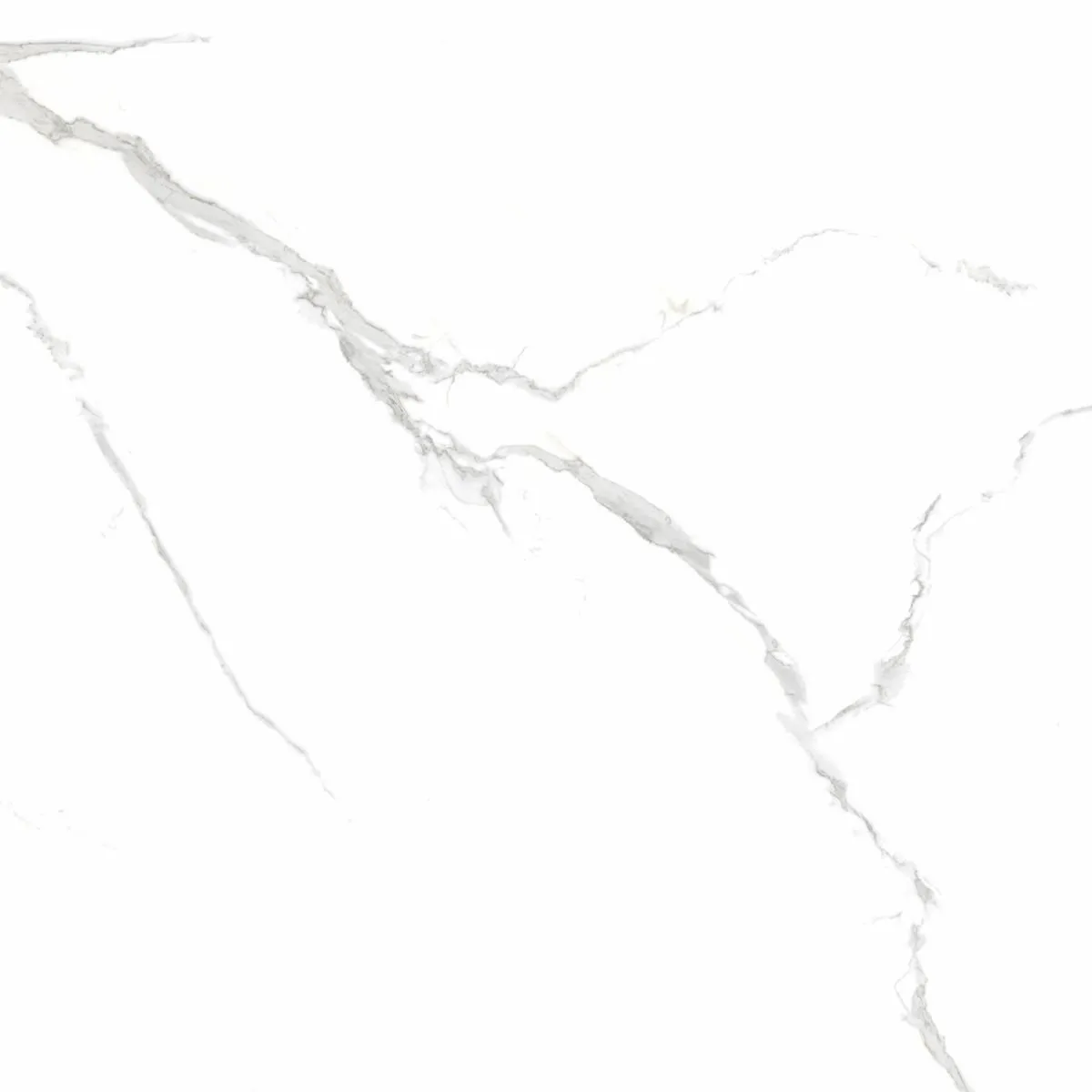 Carrara White Marble